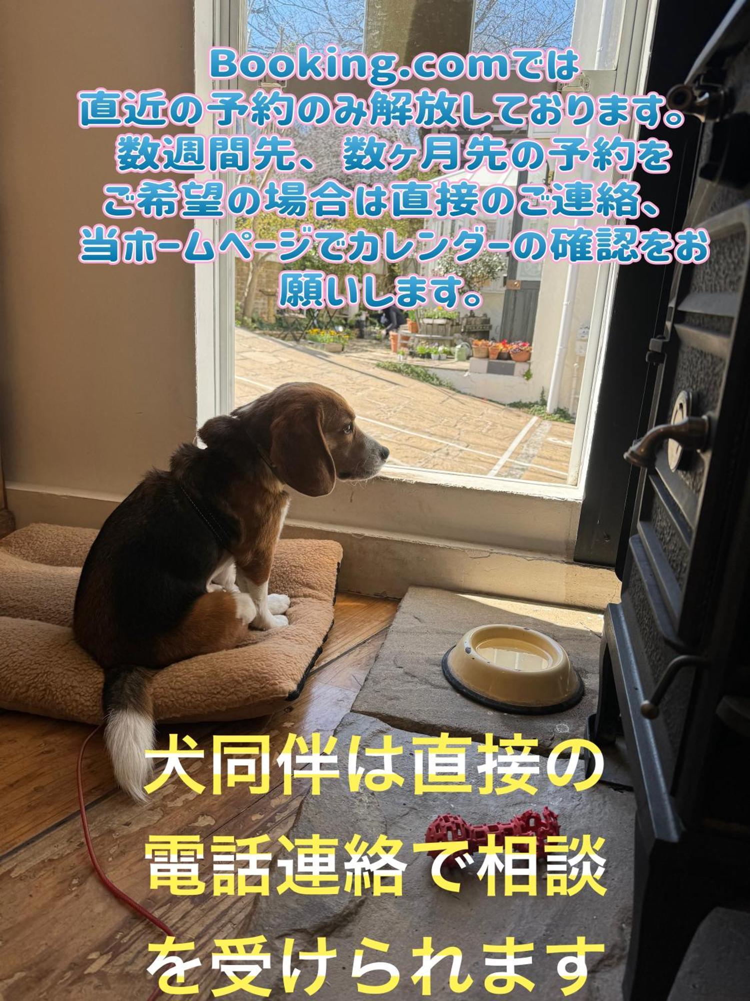 Kamakurayama Holiday Flat Екстер'єр фото